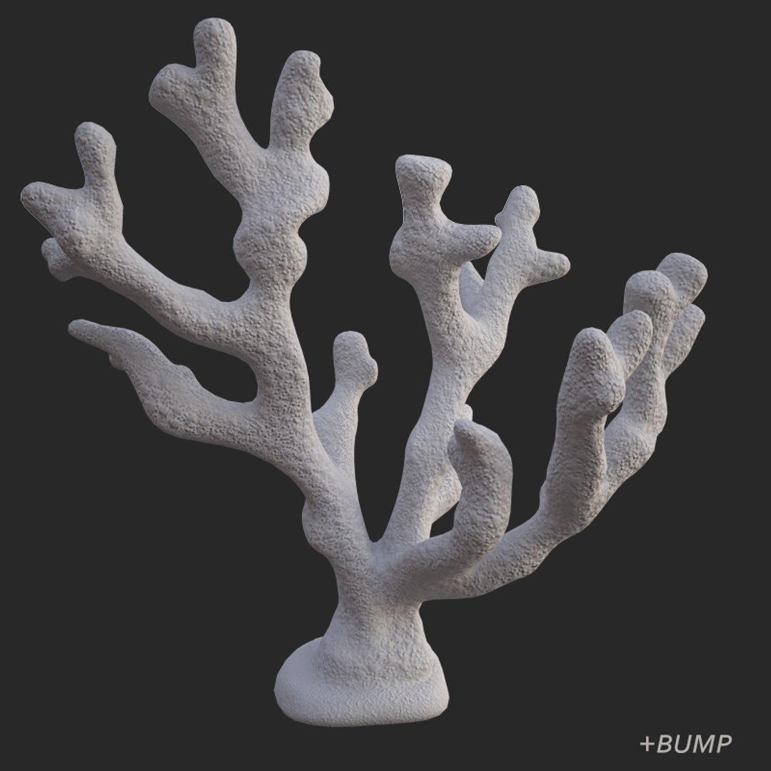 3D coral acropora v3 model https://p.turbosquid.com/ts-thumb/mL/StLPv8/f4VkWXm9/018/jpg/1518185645/1920x1080/fit_q87/1160619684cc1d42942446b99740234bb04a359e/018.jpg