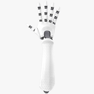 Robot Hand Rig