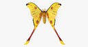 Madagascan Moon Moth with Fur 3D Model