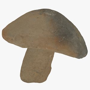 3D Medieval Cloche Mushroom 01 RAW Scan