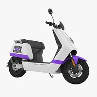 Electric Scooter Check