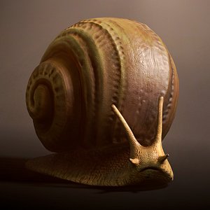 Land snail1 3D model