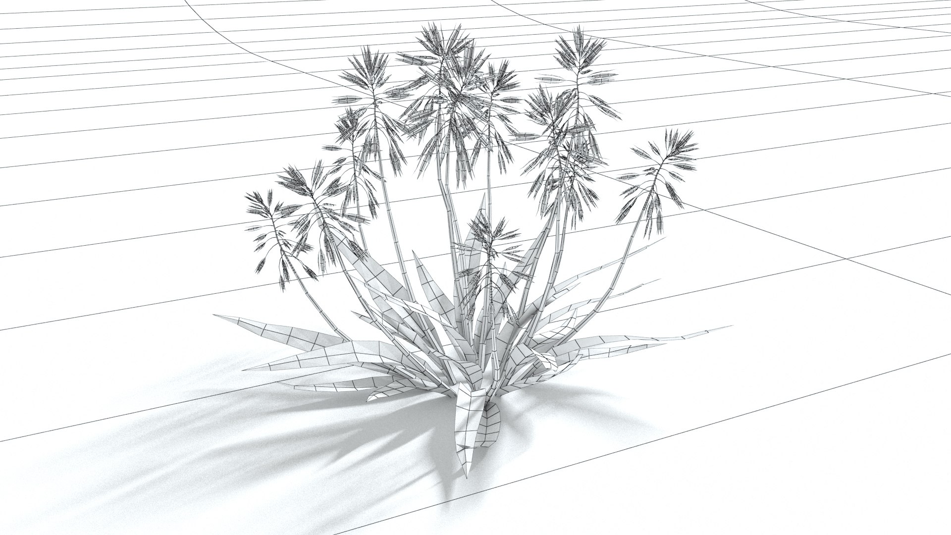 3D model laos Aloe Vera https://p.turbosquid.com/ts-thumb/mL/lh5GAN/66/preview06wireframe02/jpg/1769093513/1920x1080/fit_q87/d22cea9c8fb122fdc1263334f929daca16ca97fd/preview06wireframe02.jpg
