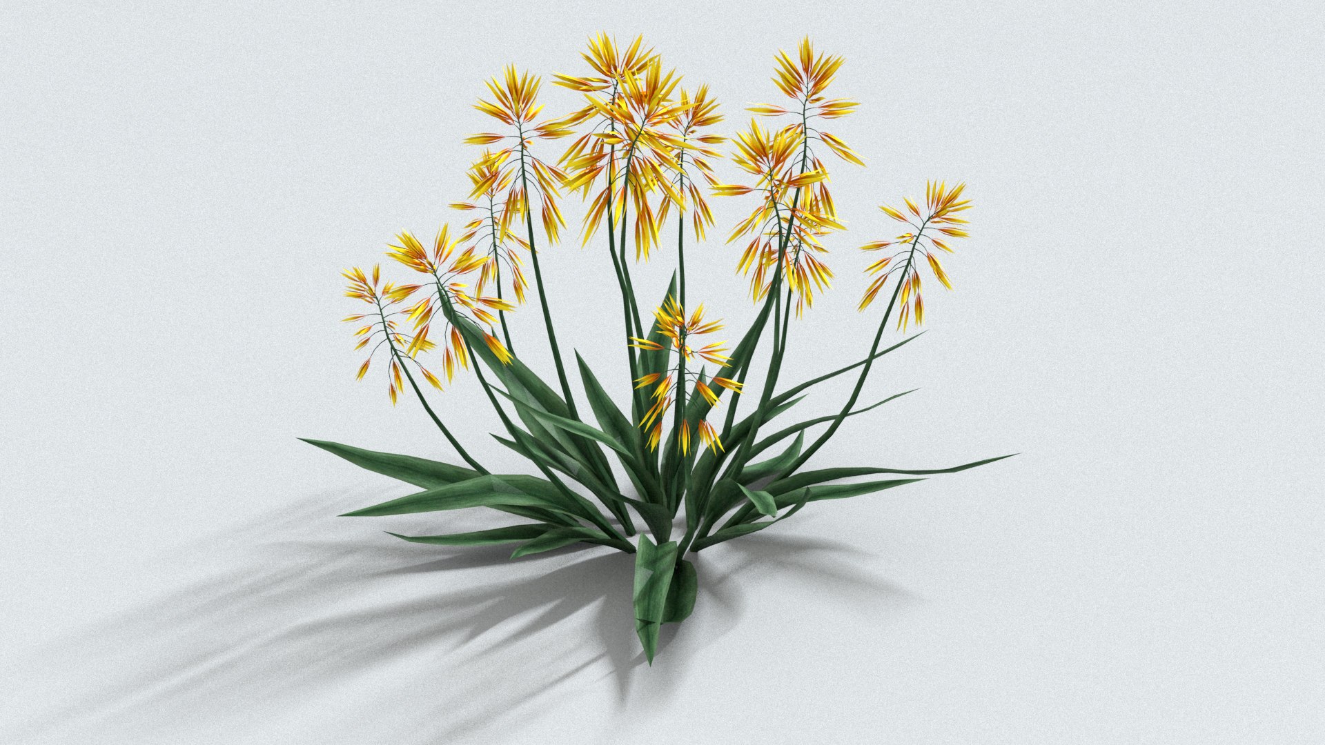 3D model laos Aloe Vera https://p.turbosquid.com/ts-thumb/mL/lh5GAN/8F/preview02/jpg/1769093475/1920x1080/fit_q87/3be5e0f620a4957b9592c9165805dc013b365fe9/preview02.jpg