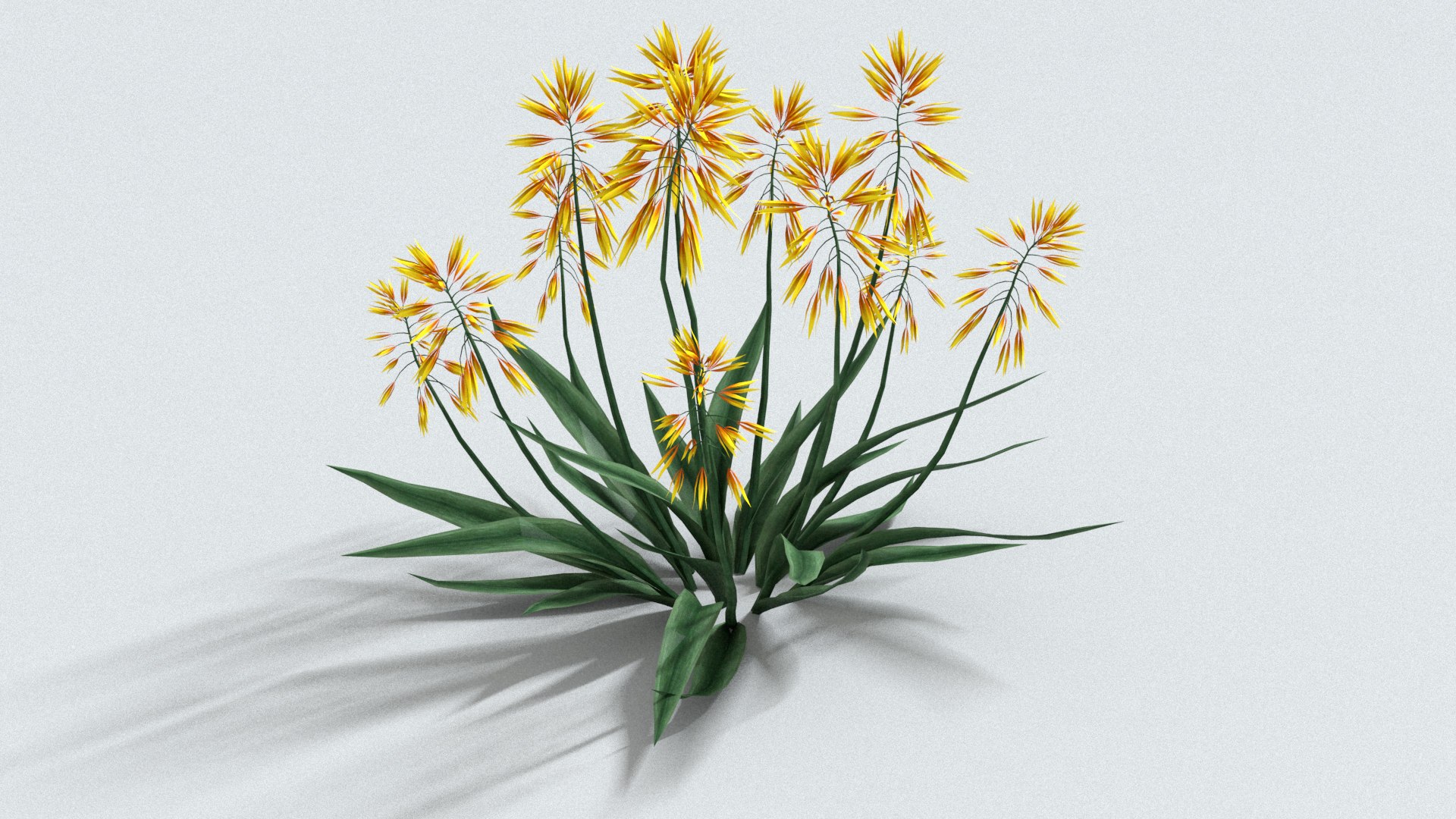 3D model laos Aloe Vera https://p.turbosquid.com/ts-thumb/mL/lh5GAN/SA/preview05/jpg/1769093492/1920x1080/fit_q87/01e5b229f7345f5bab3f5113e6a55857ecfc2f57/preview05.jpg