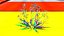 Aloe Vera del Laos