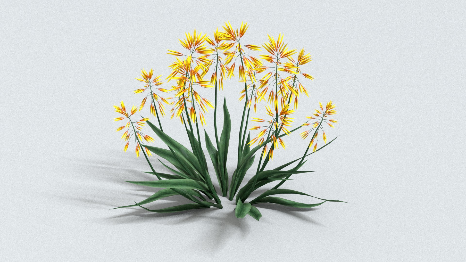 3D model laos Aloe Vera https://p.turbosquid.com/ts-thumb/mL/lh5GAN/ei/preview03/jpg/1769093479/1920x1080/fit_q87/ed421fe8f1e7003c512dc61d2865ac03bff58054/preview03.jpg