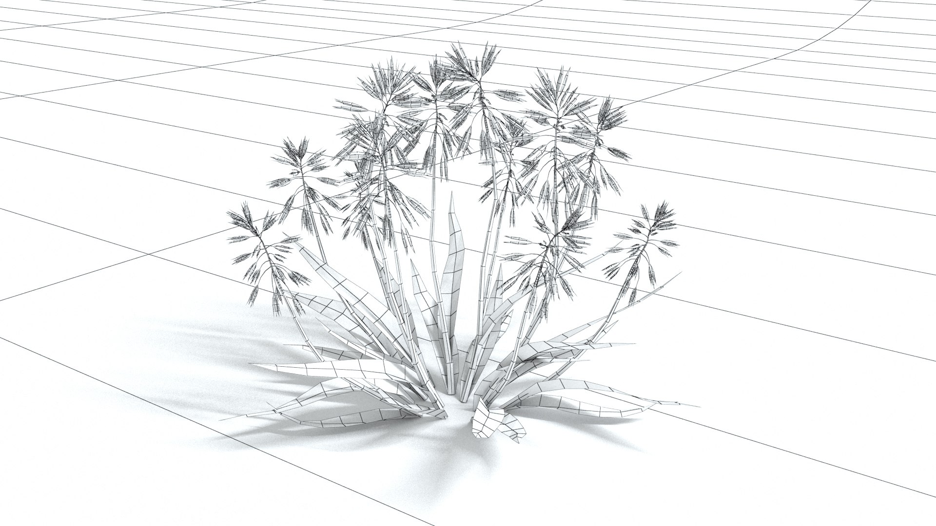 3D model laos Aloe Vera https://p.turbosquid.com/ts-thumb/mL/lh5GAN/pn/preview06wireframe03/jpg/1769093515/1920x1080/fit_q87/20c8fb3bb19e93412e0f38927ded4eb9d28f107b/preview06wireframe03.jpg