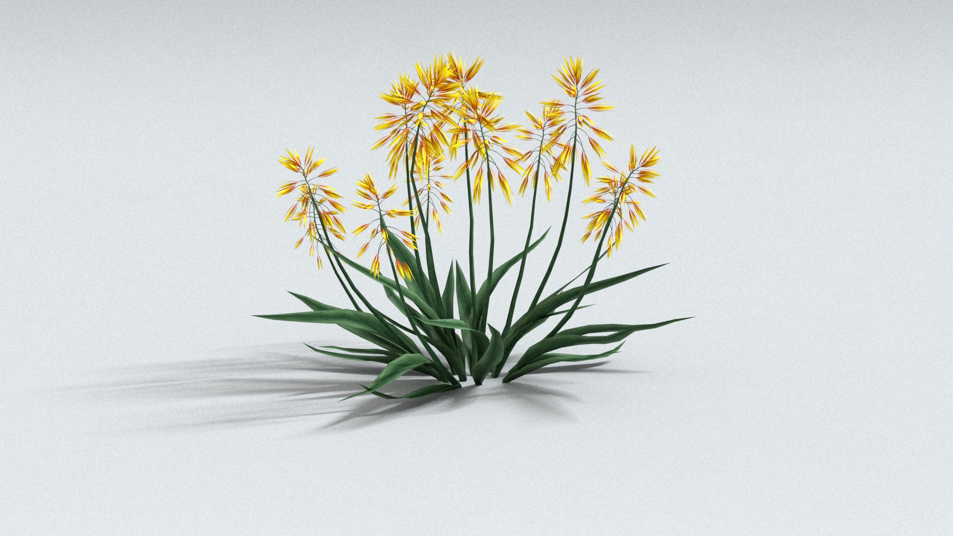 3D model laos Aloe Vera https://p.turbosquid.com/ts-thumb/mL/lh5GAN/zg/preview01/jpg/1769093471/1920x1080/fit_q87/38bddbdf8917dc7e7b3a9212020ee4fd39847870/preview01.jpg