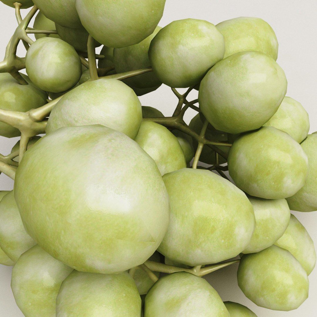 3d Model Grapes Modelled