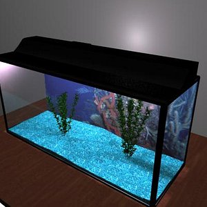 fish tank max