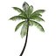 palmtree