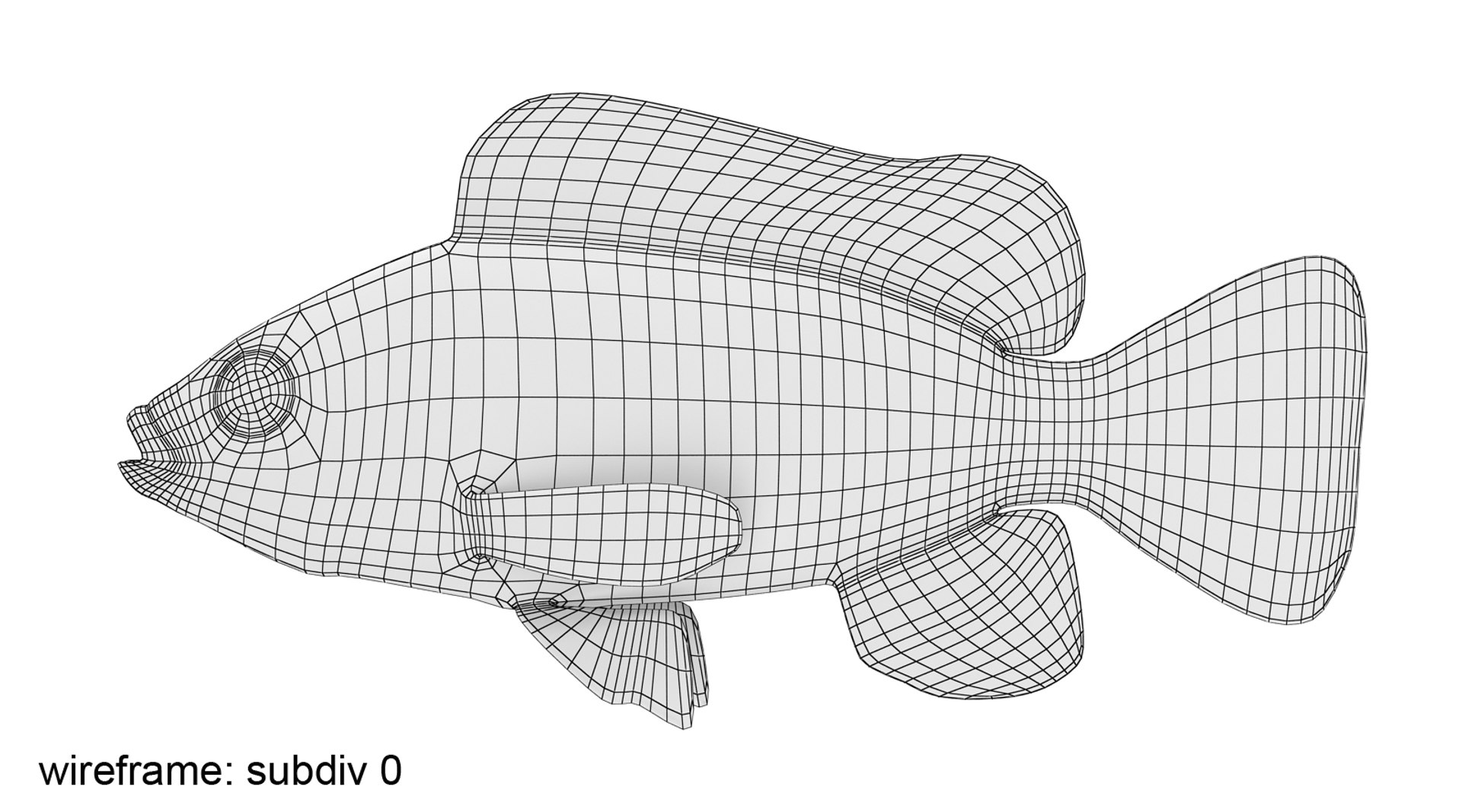 3d model tilapia cichlid fish https://p.turbosquid.com/ts-thumb/mM/08RnuC/PS1OsvvW/tilapia_r0001w/jpg/1453454450/1920x1080/fit_q87/12358f73de98ff75188928a94dcc9c69687edf67/tilapia_r0001w.jpg