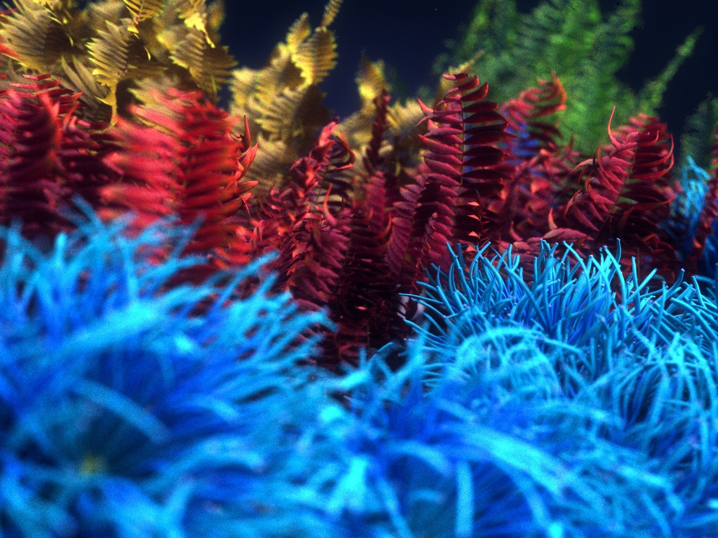 Coral reef ecosystem plants 3D - TurboSquid 1366910