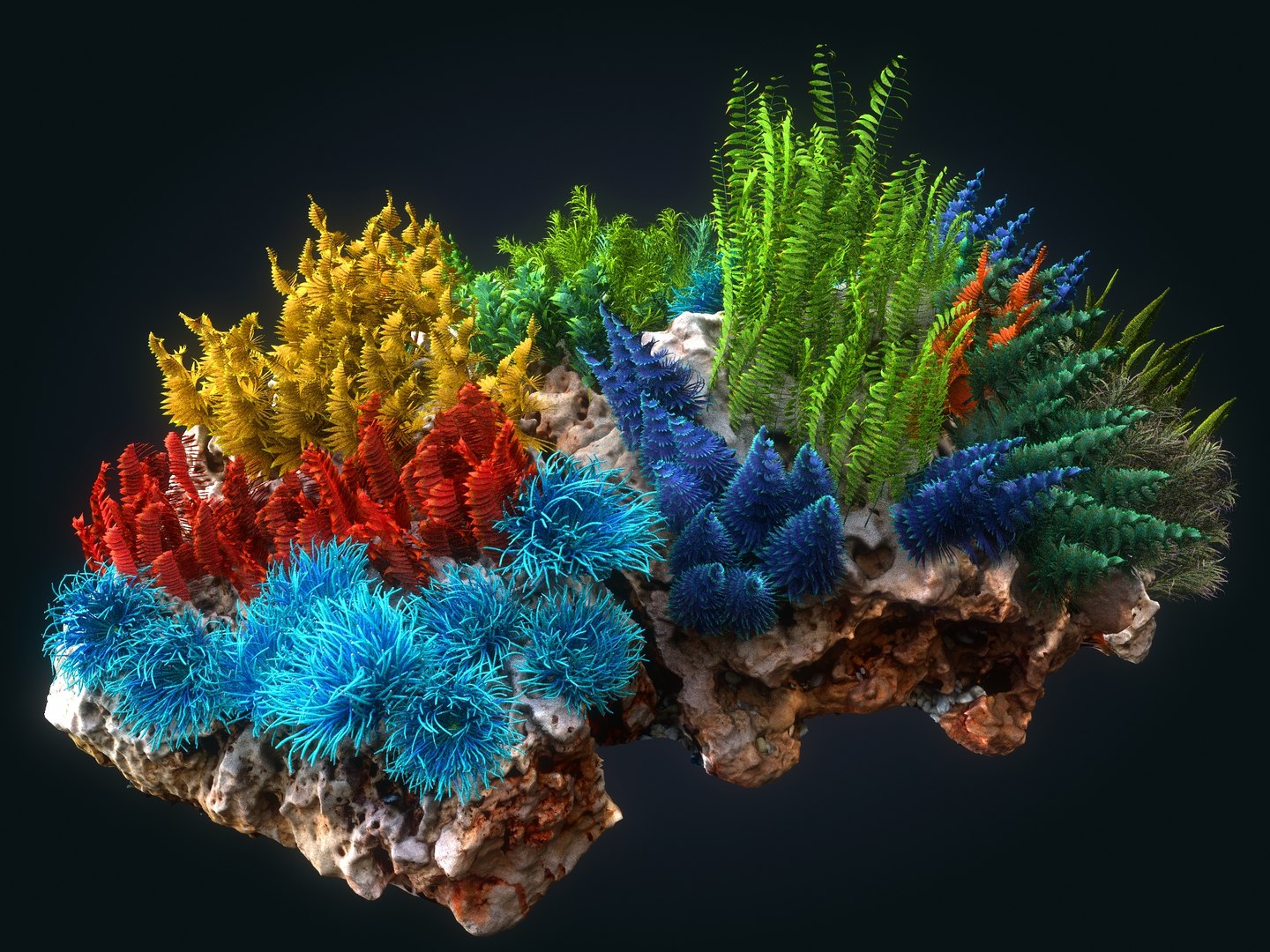 Coral reef ecosystem plants 3D - TurboSquid 1366910