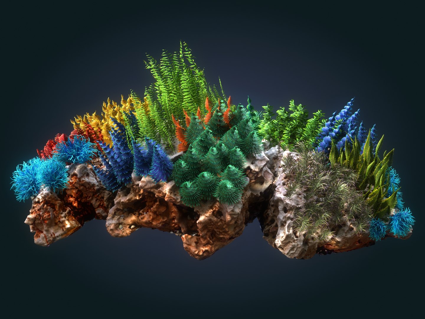 Coral reef ecosystem plants 3D - TurboSquid 1366910