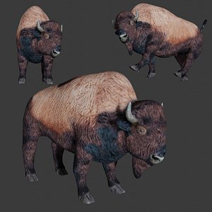 3D fully rigged low poly Bison