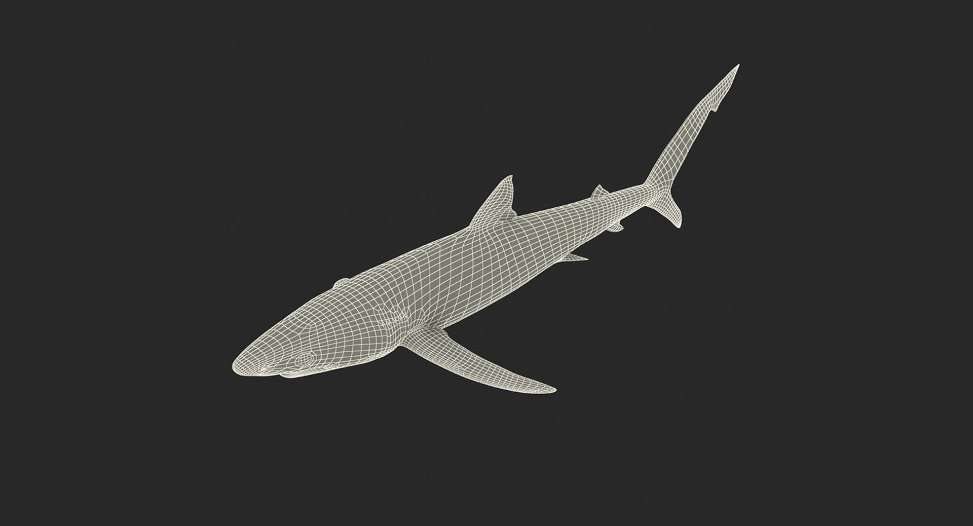 Rigged sharks 2 3D - TurboSquid 1428172
