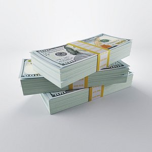 3d model 100 dollars packs
