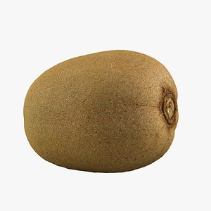 realistic kiwi 3d model