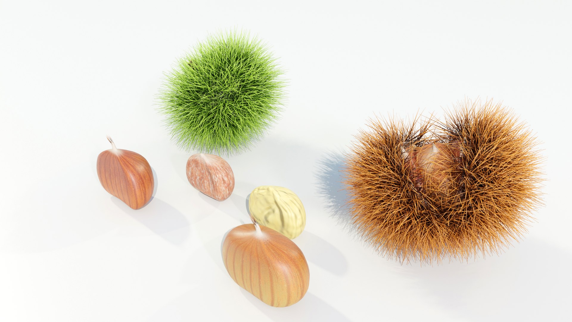 Chestnuts Procedural PBR 3D model https://p.turbosquid.com/ts-thumb/mM/OwJ6ZK/6J/z0002/jpg/1696232716/1920x1080/fit_q87/071fcea6057e225d781fd19d56afaa33005e6728/z0002.jpg