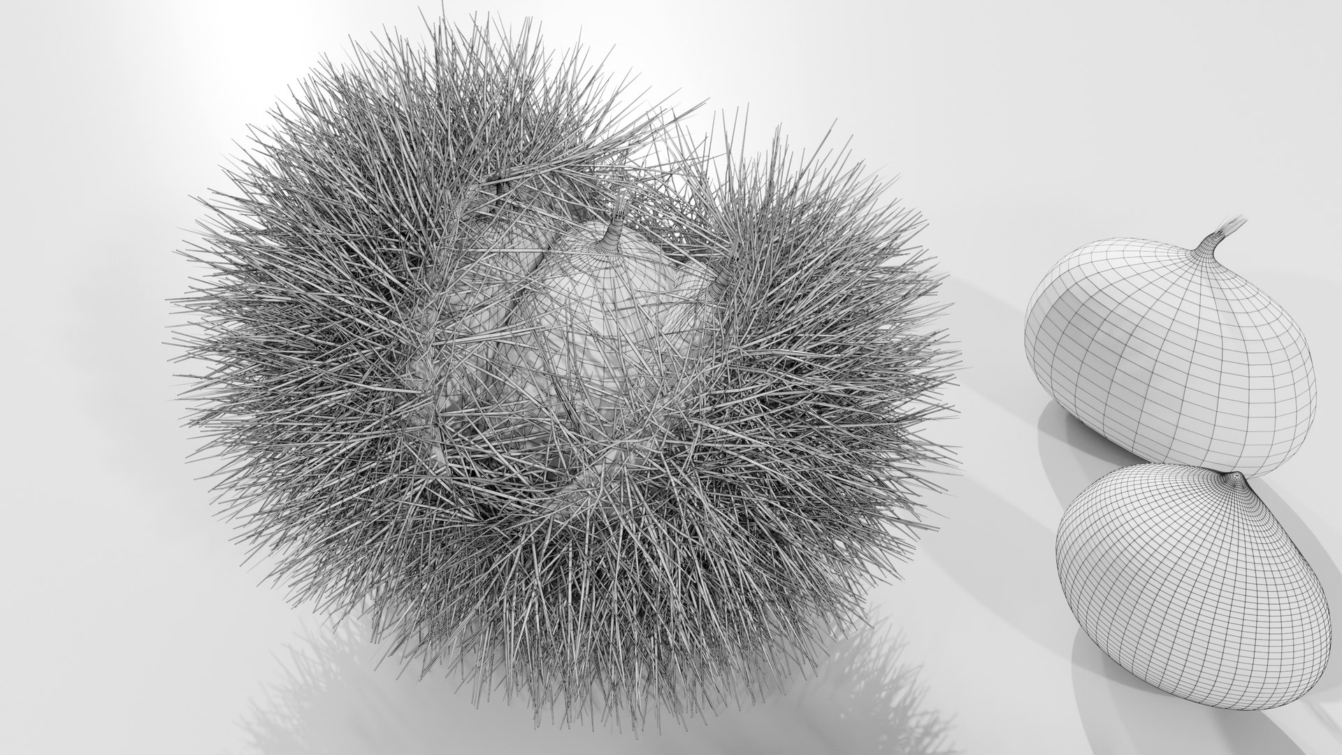 Chestnuts Procedural PBR 3D model https://p.turbosquid.com/ts-thumb/mM/OwJ6ZK/DE/wire_07/jpg/1696232780/1920x1080/fit_q87/20519cf0466f3eed64abe1ba4374c8f81baa3fef/wire_07.jpg