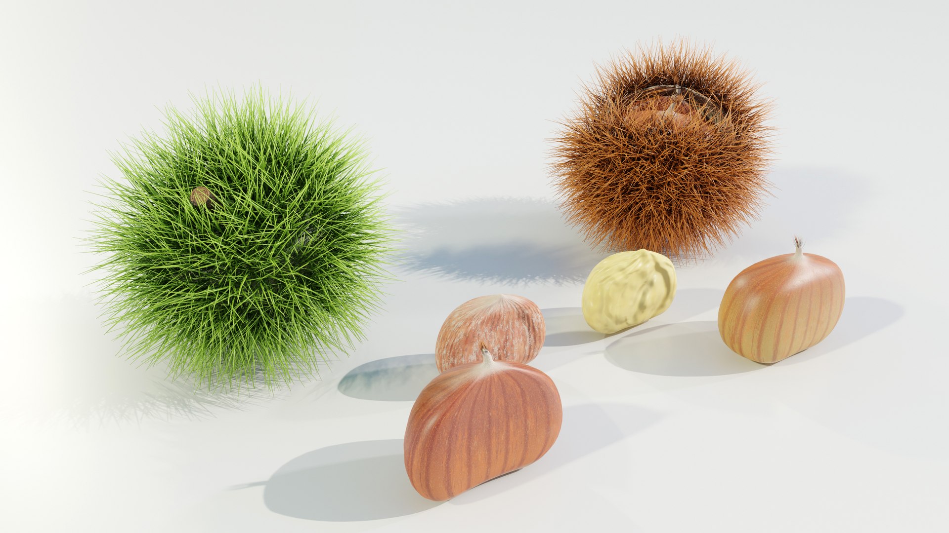 Chestnuts Procedural PBR 3D model https://p.turbosquid.com/ts-thumb/mM/OwJ6ZK/Go/z0001/jpg/1696232716/1920x1080/fit_q87/6bcaa3621ea03110aca4a45c1392078ec59f251e/z0001.jpg