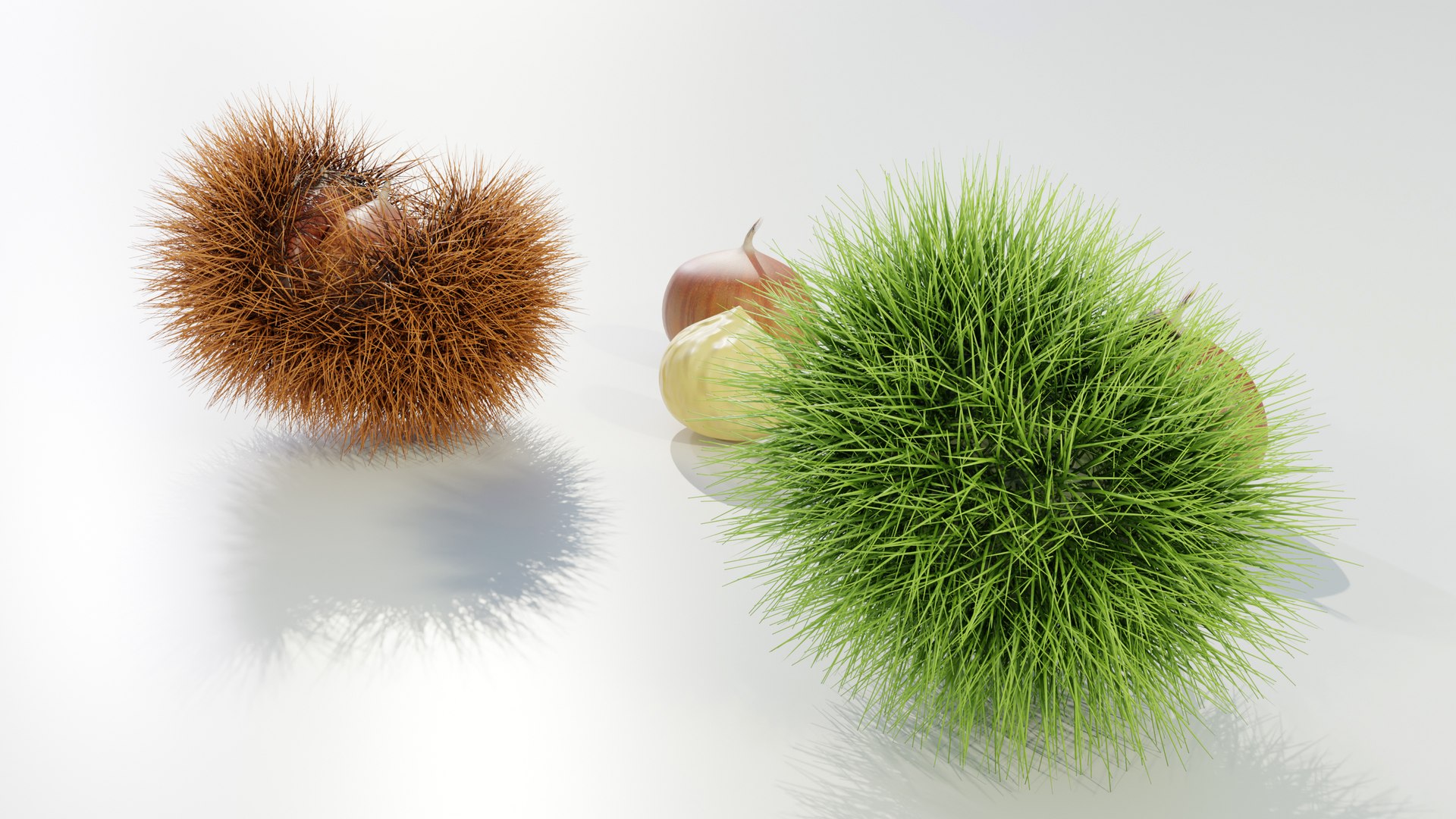 Chestnuts Procedural PBR 3D model https://p.turbosquid.com/ts-thumb/mM/OwJ6ZK/Or/z0004/jpg/1696232721/1920x1080/fit_q87/1d5e33a083c42998ad435c5fbefe93a6482a3829/z0004.jpg