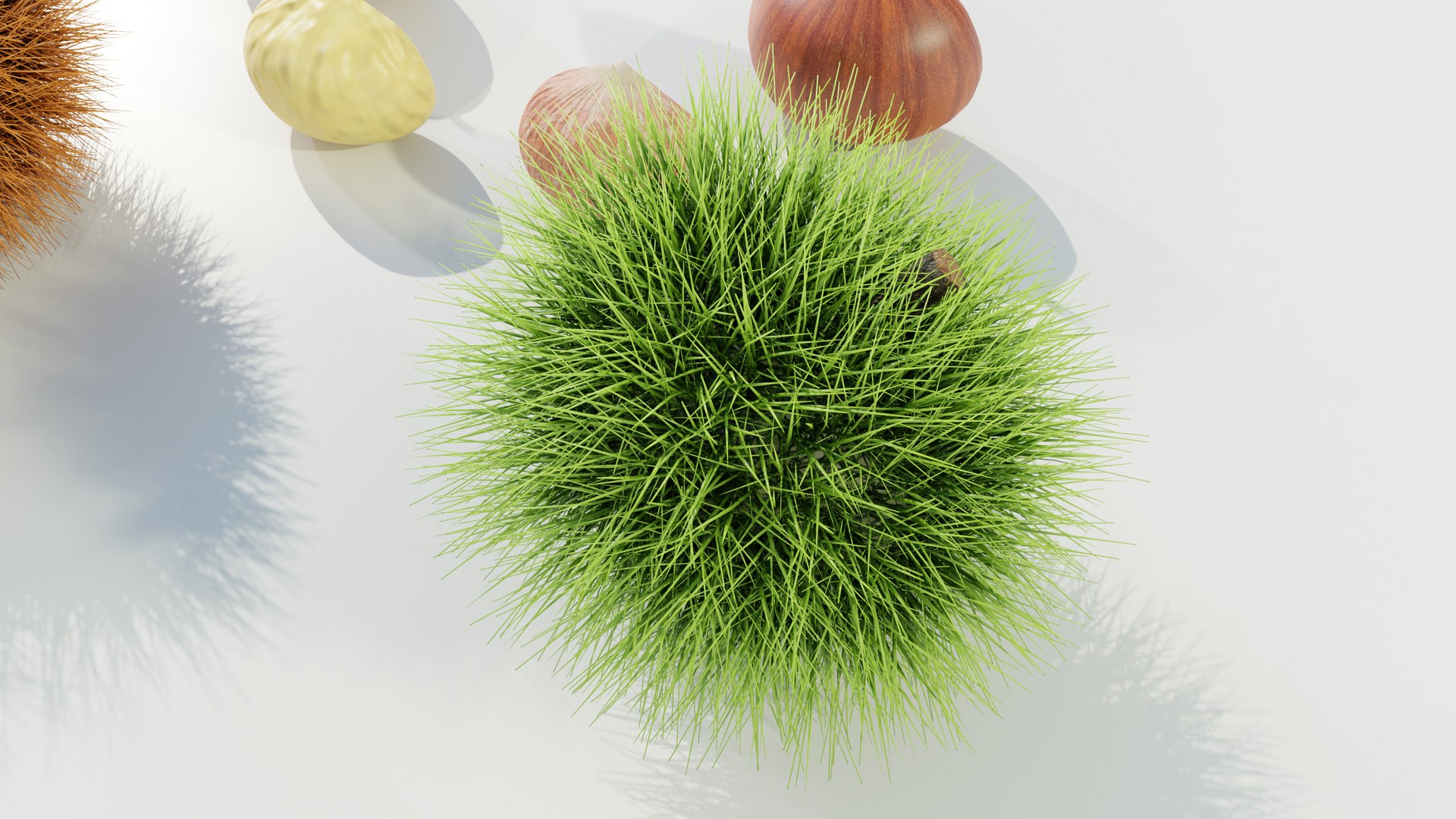 Chestnuts Procedural PBR 3D model https://p.turbosquid.com/ts-thumb/mM/OwJ6ZK/Tw/z0008/jpg/1696232731/1920x1080/fit_q87/b3ec8ac144e035c21ba9af99cee0e1df3cb75205/z0008.jpg