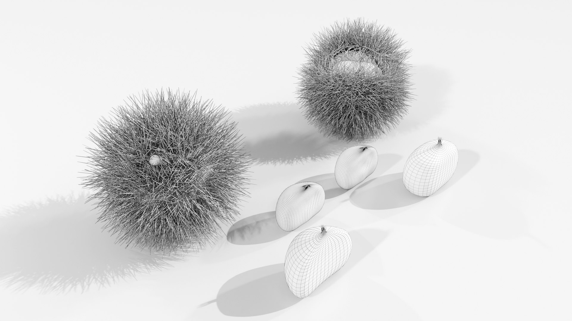 Chestnuts Procedural PBR 3D model https://p.turbosquid.com/ts-thumb/mM/OwJ6ZK/VQ/wire_05/jpg/1696232778/1920x1080/fit_q87/4a9dd6e39190a666e7e7738002fc1c8f48194b55/wire_05.jpg