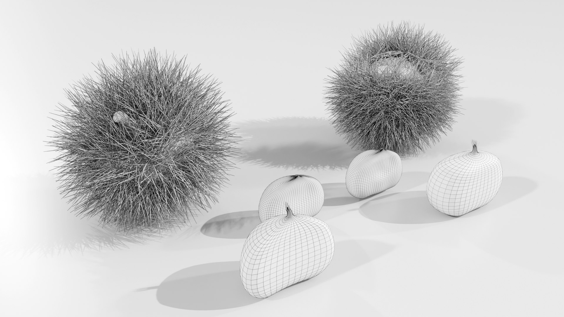 Chestnuts Procedural PBR 3D model https://p.turbosquid.com/ts-thumb/mM/OwJ6ZK/dm/wire_01/jpg/1696232774/1920x1080/fit_q87/fe9bf9ab94afefb90d94e359cf1c9587f578645b/wire_01.jpg