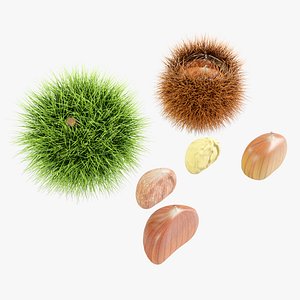 Chestnuts Procedural PBR 3D model