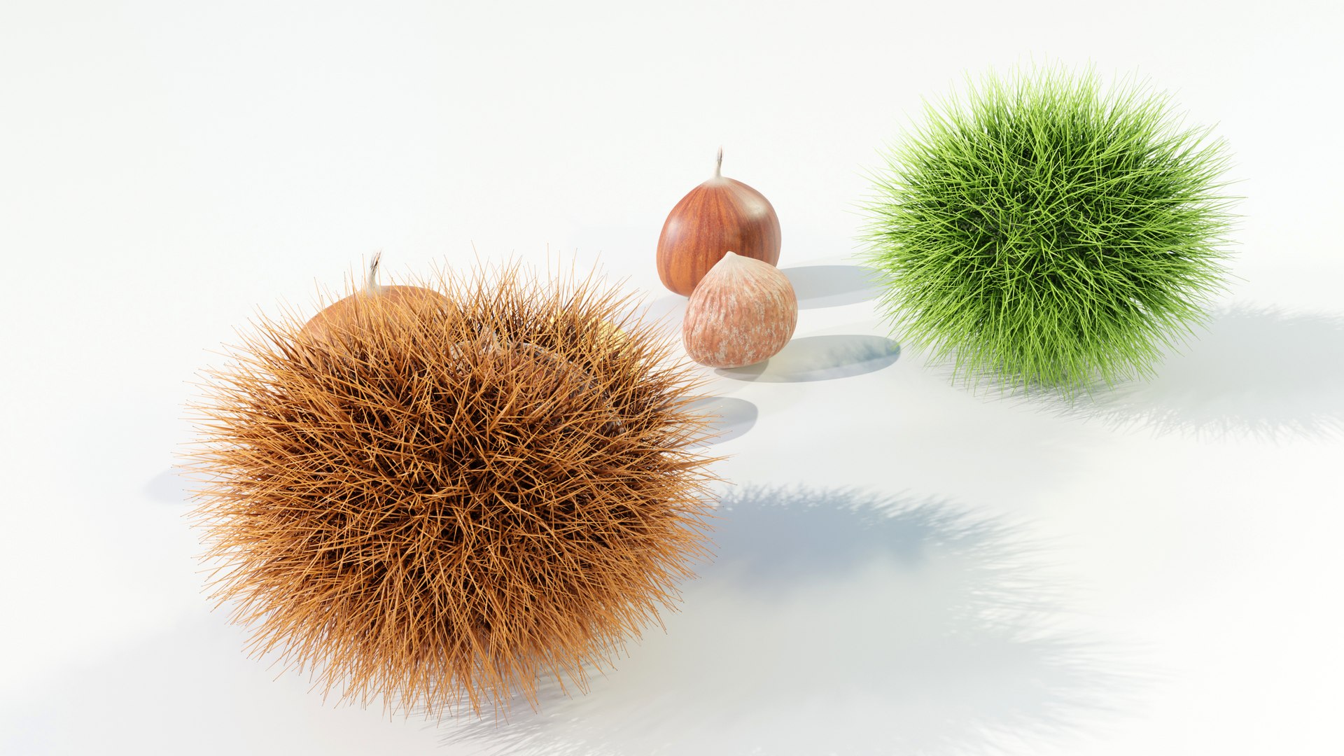 Chestnuts Procedural PBR 3D model https://p.turbosquid.com/ts-thumb/mM/OwJ6ZK/i9/z0003/jpg/1696232724/1920x1080/fit_q87/7467d1dfd62fa066de859f489111c6edd06eafae/z0003.jpg