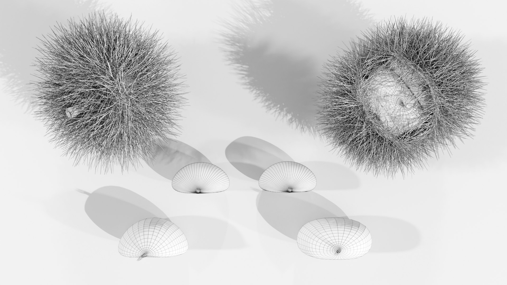 Chestnuts Procedural PBR 3D model https://p.turbosquid.com/ts-thumb/mM/OwJ6ZK/io/wire_09/jpg/1696232782/1920x1080/fit_q87/2556c484151f5b00aaa9d7e7dcde04cfa5163c13/wire_09.jpg
