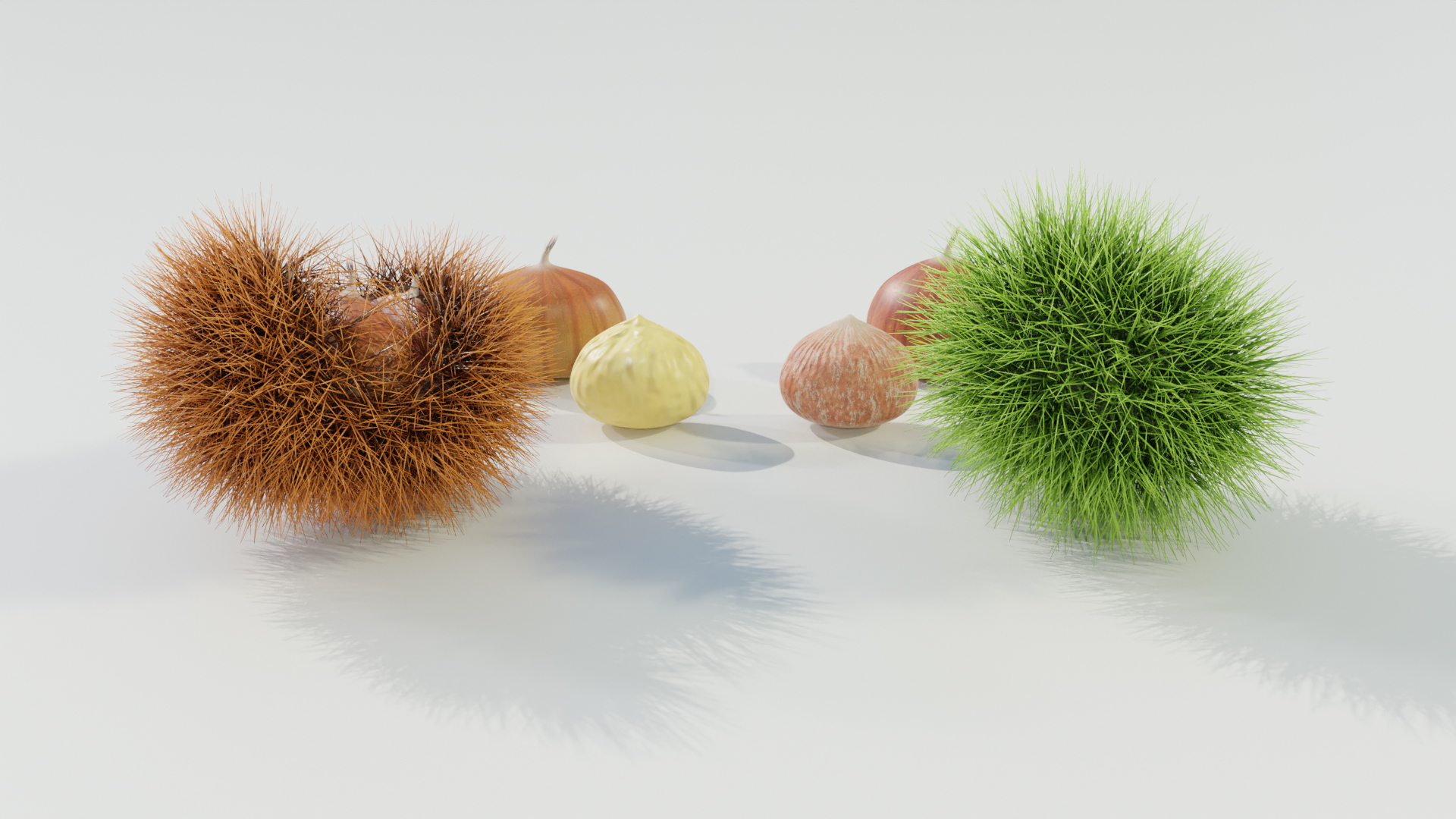 Chestnuts Procedural PBR 3D model https://p.turbosquid.com/ts-thumb/mM/OwJ6ZK/jy/turn/jpg/1696232849/1920x1080/turn_fit_q99/1c481e59625d8e55093049915dffcf649ce073c5/turn-1.jpg
