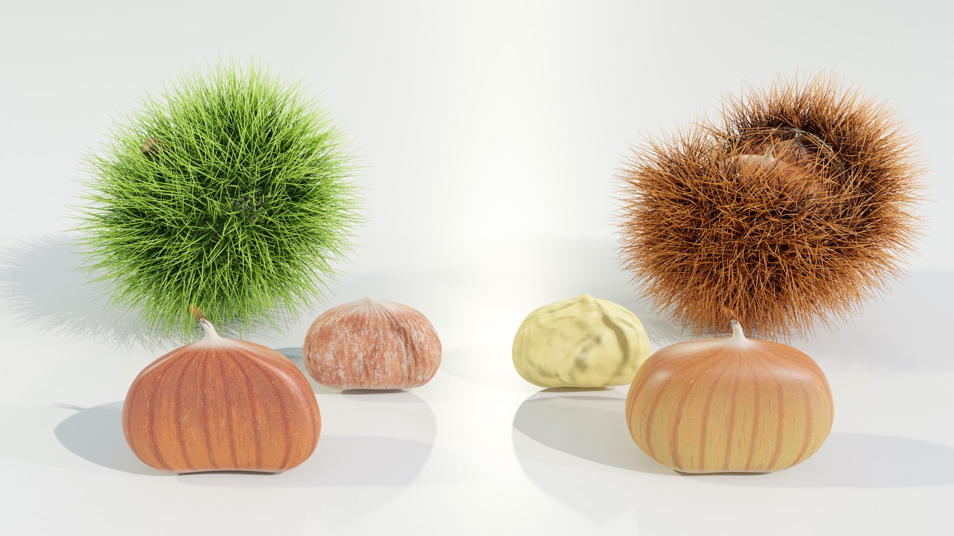 Chestnuts Procedural PBR 3D model https://p.turbosquid.com/ts-thumb/mM/OwJ6ZK/sU/z0006/jpg/1696232728/1920x1080/fit_q87/7afeda97263a96d749fe31329e6c3149cbf28f7a/z0006.jpg