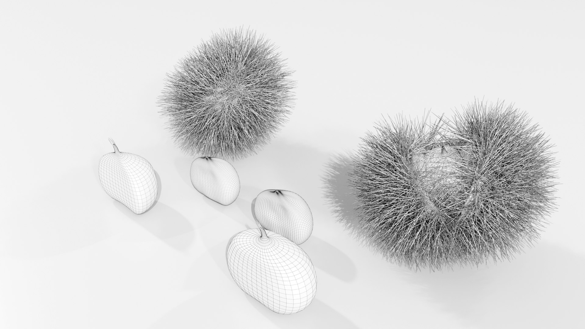 Chestnuts Procedural PBR 3D model https://p.turbosquid.com/ts-thumb/mM/OwJ6ZK/x4/wire_02/jpg/1696232773/1920x1080/fit_q87/ecfa6863a412c50e5b4b9578428e95a15faa13cb/wire_02.jpg