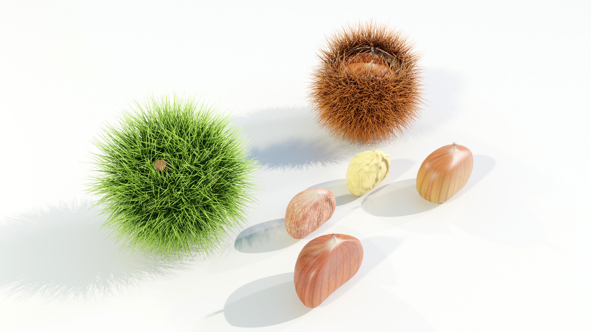 Chestnuts Procedural PBR 3D model https://p.turbosquid.com/ts-thumb/mM/OwJ6ZK/zs/z0005/jpg/1696232722/1920x1080/fit_q87/03d4cbbf0a99c5e836613d9f620b0d09e3d89b3e/z0005.jpg
