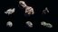 Realistic Asteroids Pack Low-poly 3D model