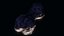 Realistic Asteroids Pack Low-poly 3D model