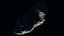 Realistic Asteroids Pack Low-poly 3D model