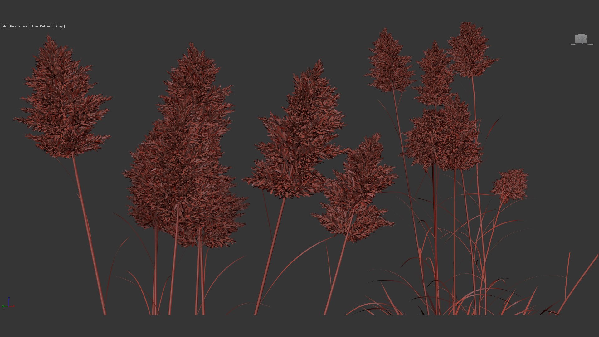 3D Cortaderia selloana Pampas grass 02 https://p.turbosquid.com/ts-thumb/mM/hKloB8/OT/bc_pm_p013_cortaderia_selloana_02_wire_05/jpg/1681464679/1920x1080/fit_q87/25677eb82f36dc6f5214f5d99739af82ebabd9ab/bc_pm_p013_cortaderia_selloana_02_wire_05.jpg