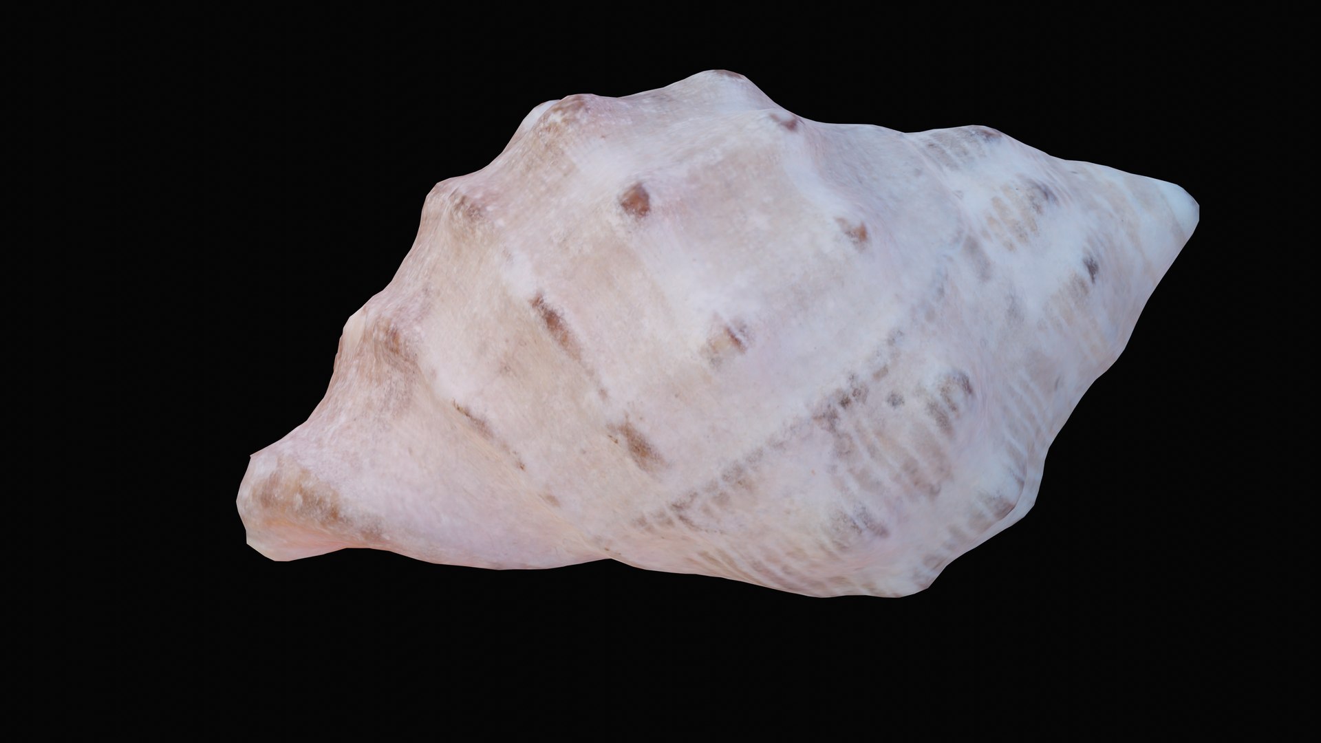 Small rock shell 3D model - TurboSquid 1627579
