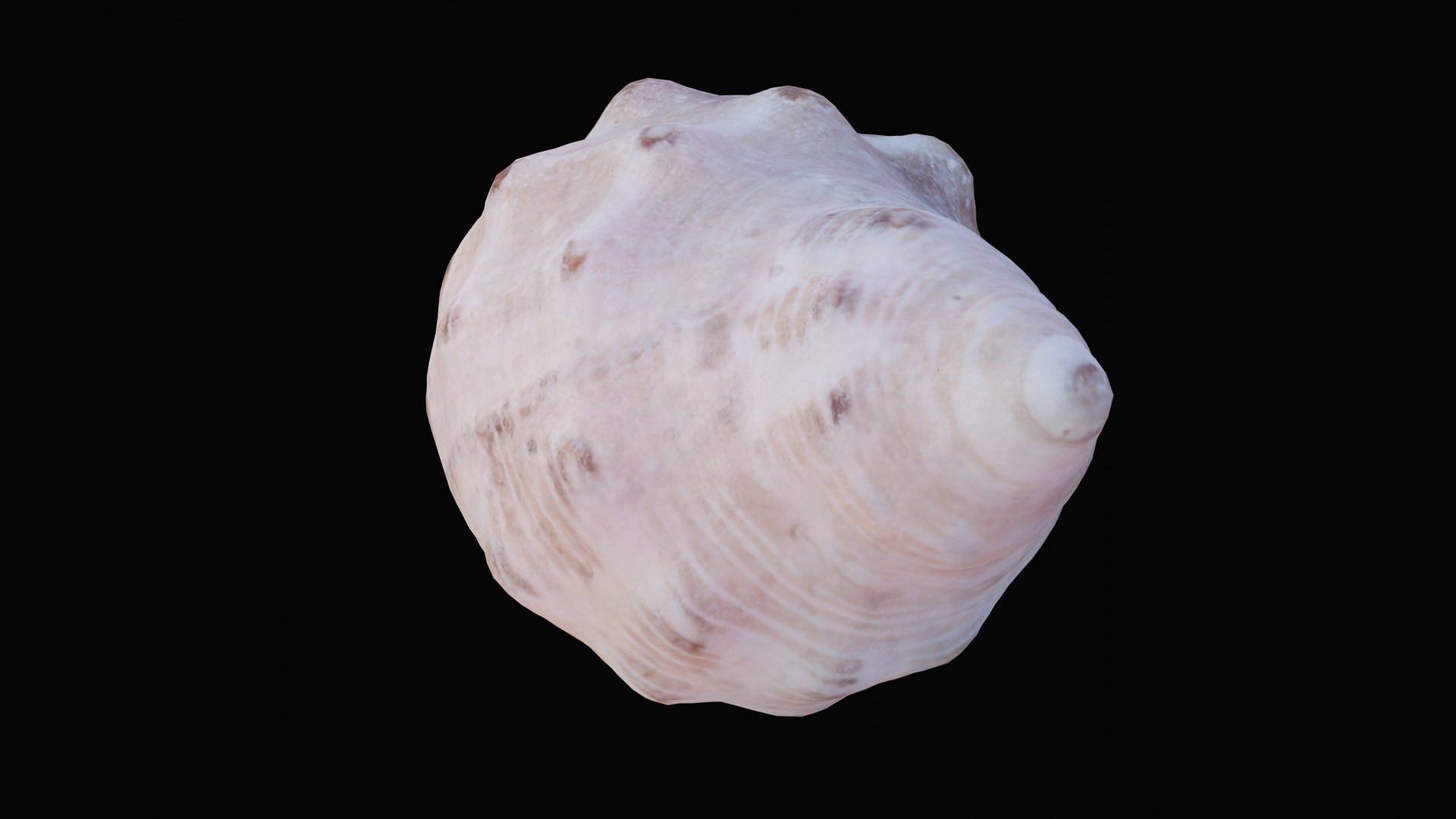 Small rock shell 3D model - TurboSquid 1627579