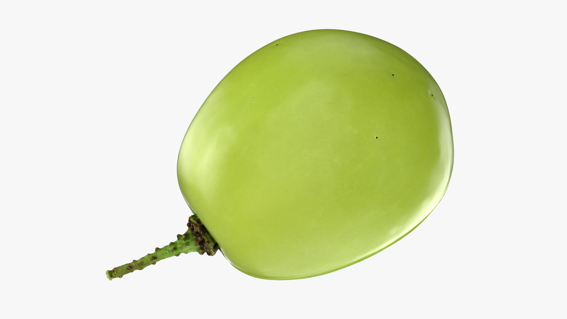 Green Grape - 3D Scanned Collection 2 3D model https://p.turbosquid.com/ts-thumb/mM/whnSq7/JO/cutgrapegreen_0010/png/1784313634/1920x1080/fit_q87/8cea8bb62a476728ee4137a17a16d0f97b9a7888/cutgrapegreen_0010.jpg