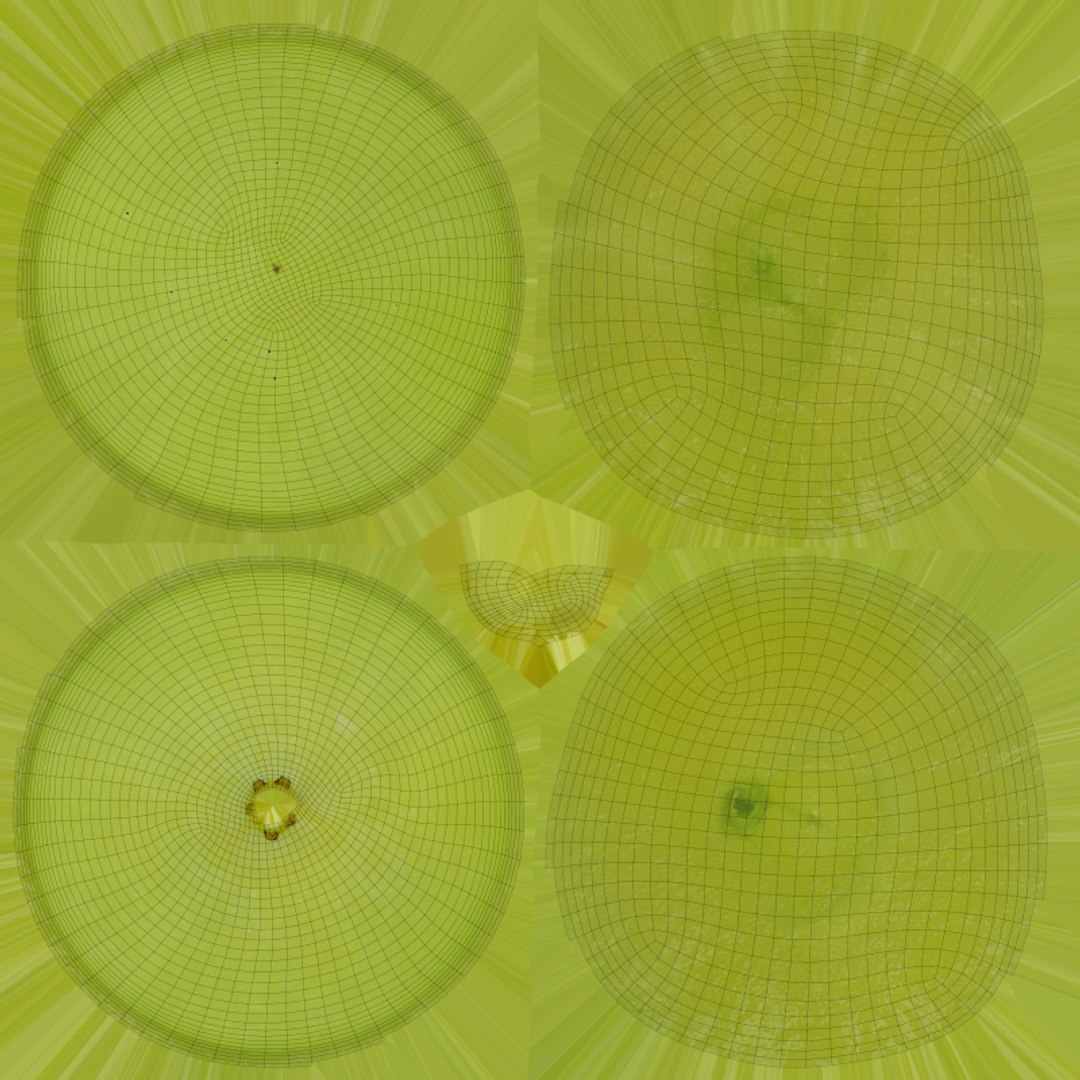 Green Grape - 3D Scanned Collection 2 3D model https://p.turbosquid.com/ts-thumb/mM/whnSq7/pH/halfgrapegreen_e0004/png/1784313576/1920x1080/fit_q87/8f936e0263e30e780da09ee1f94fb9da567e14ee/halfgrapegreen_e0004.jpg