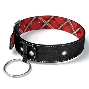 Leather Choker 1