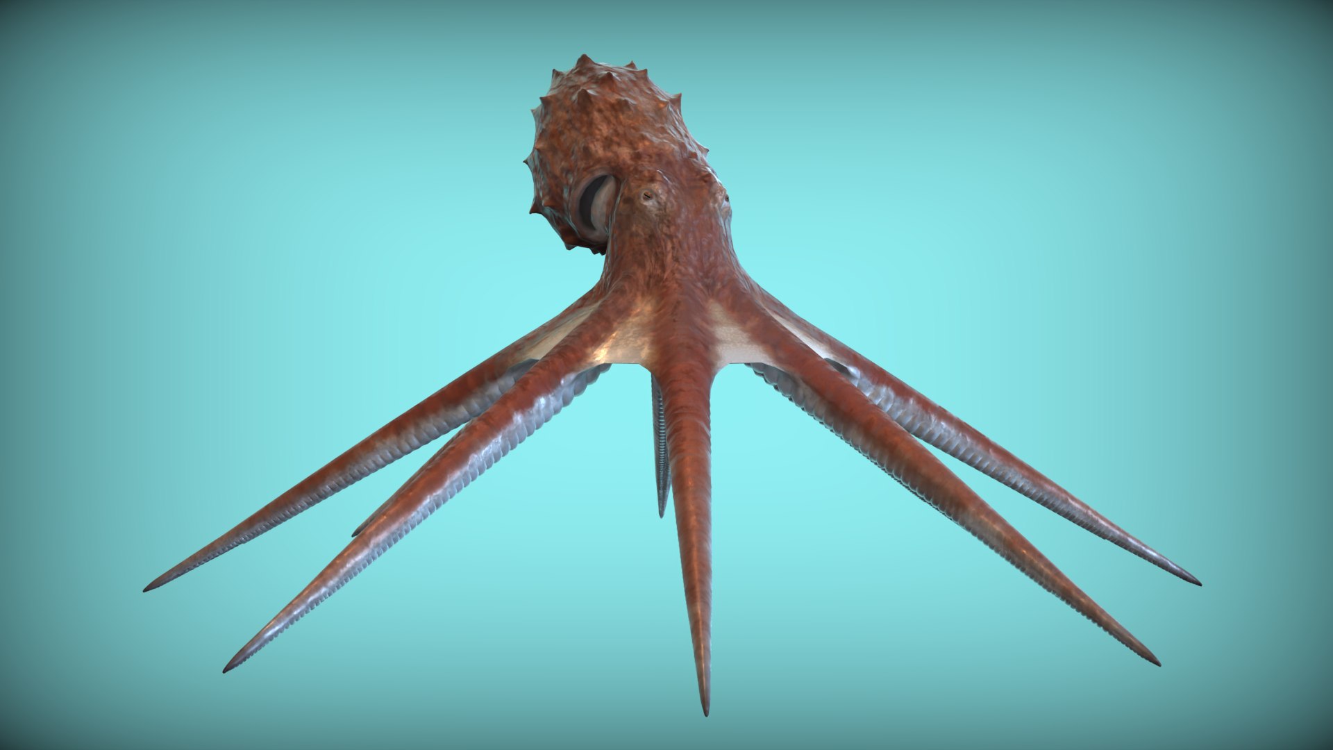 Octopus 3D Model - TurboSquid 2307899
