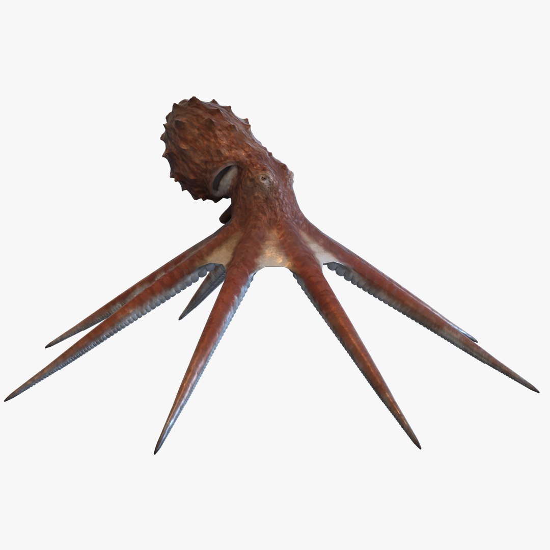 Octopus 3D Model - TurboSquid 2307899