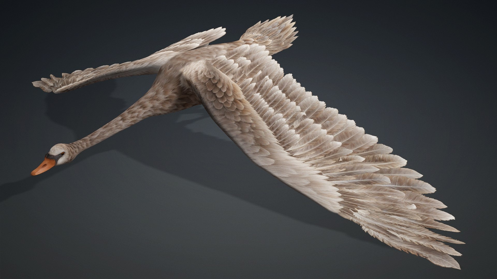 Cygnus-A1 3D https://p.turbosquid.com/ts-thumb/mN/Mn2trl/9Q/preview10/jpg/1793328026/1920x1080/fit_q87/8762aeebbadf26bb41f39dbcf0a90c456ee28425/preview10.jpg